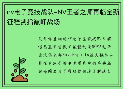 nv电子竞技战队-NV王者之师再临全新征程剑指巅峰战场